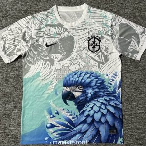 Maillot de foot Brésil 2025 2026 concept version