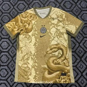Maillot de foot Inter Milan 2025 2026 concept Or